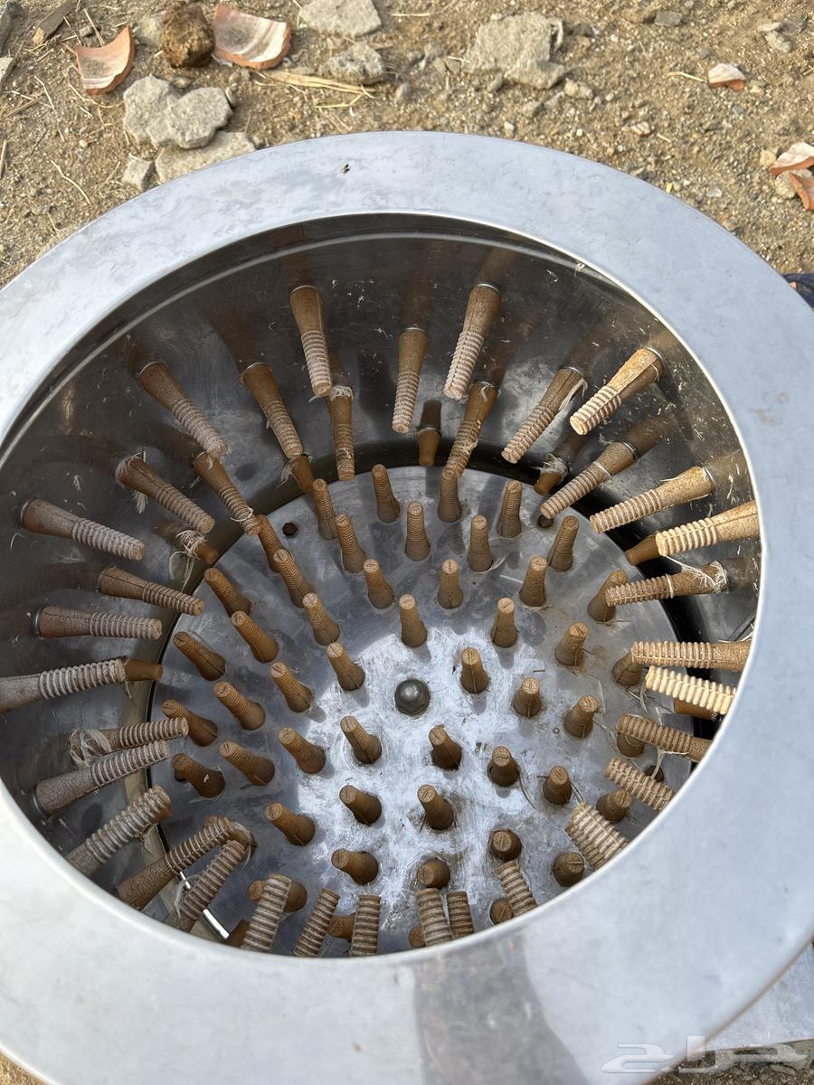 Chicken brooder. Ten. Chickens. Almost new.64465479534978110