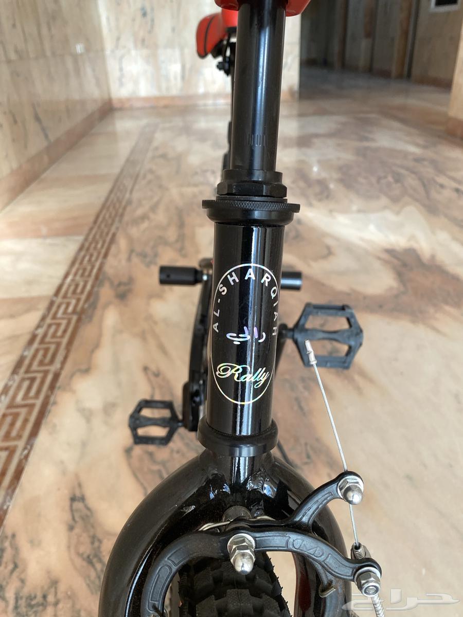 Cobra Grade Size 2464459124102531112