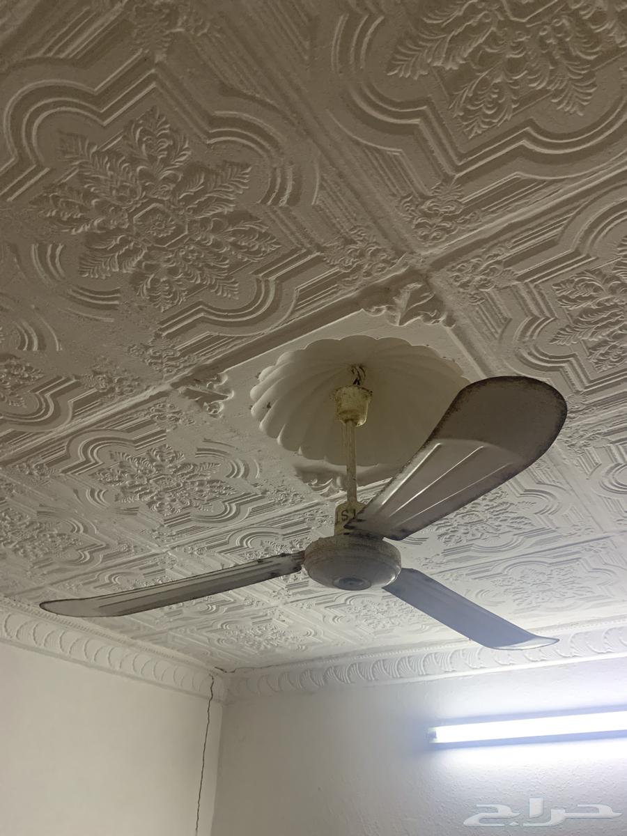 Fan for evil from the year 202564458886381442111