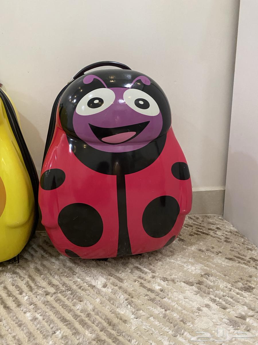 للبيع ثلاث شناط حقات اطفال64462103863427111