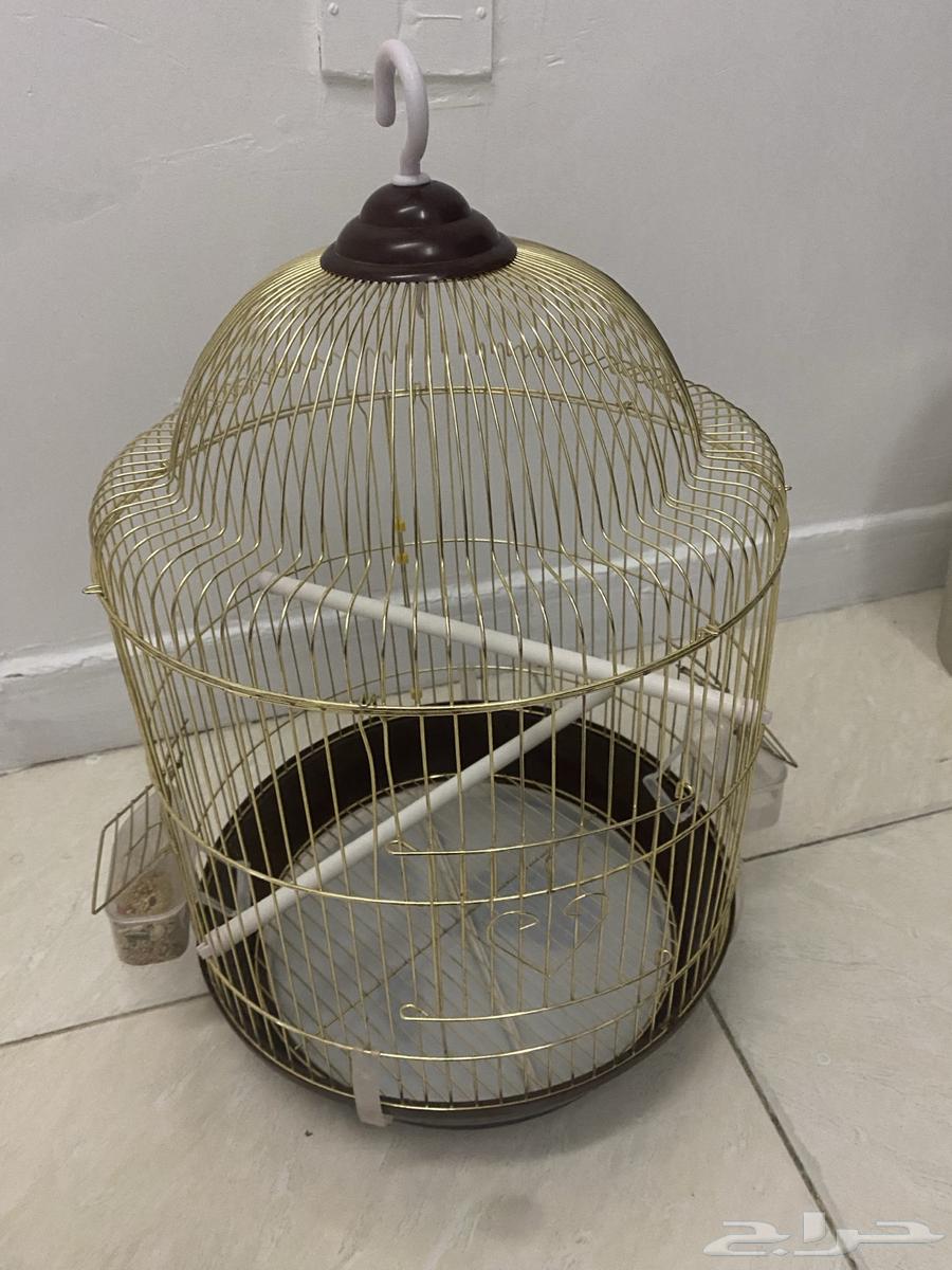 كروان كوكتيل للبيع64462665252097112