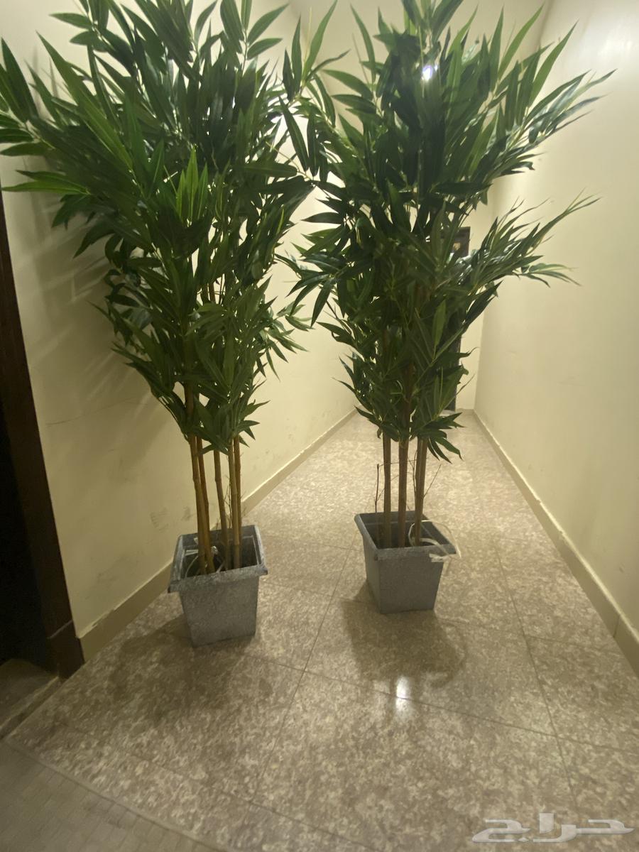 Artifacts and Waterfalls64461898021763113