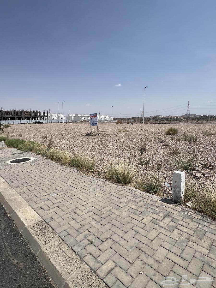 أرض تجارية بمدينة الورد بالطائف64142375728129111