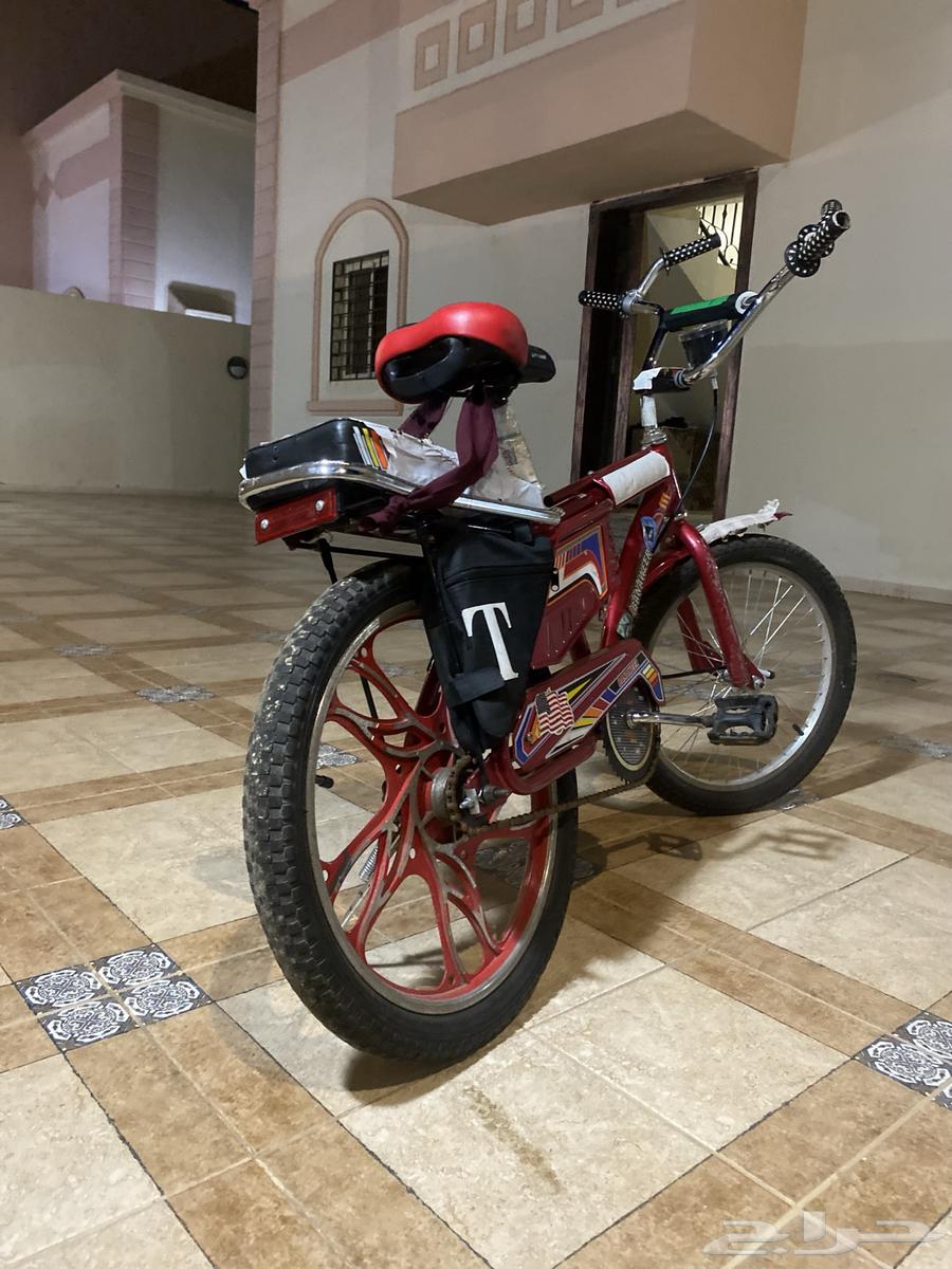 سيكل رامبو تجميع صيني64462541140609110