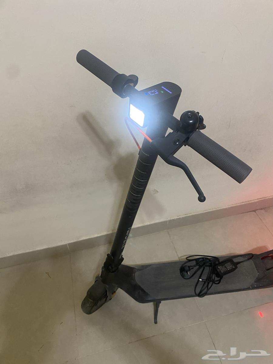 Al Riyadh Malqa64457942945153111