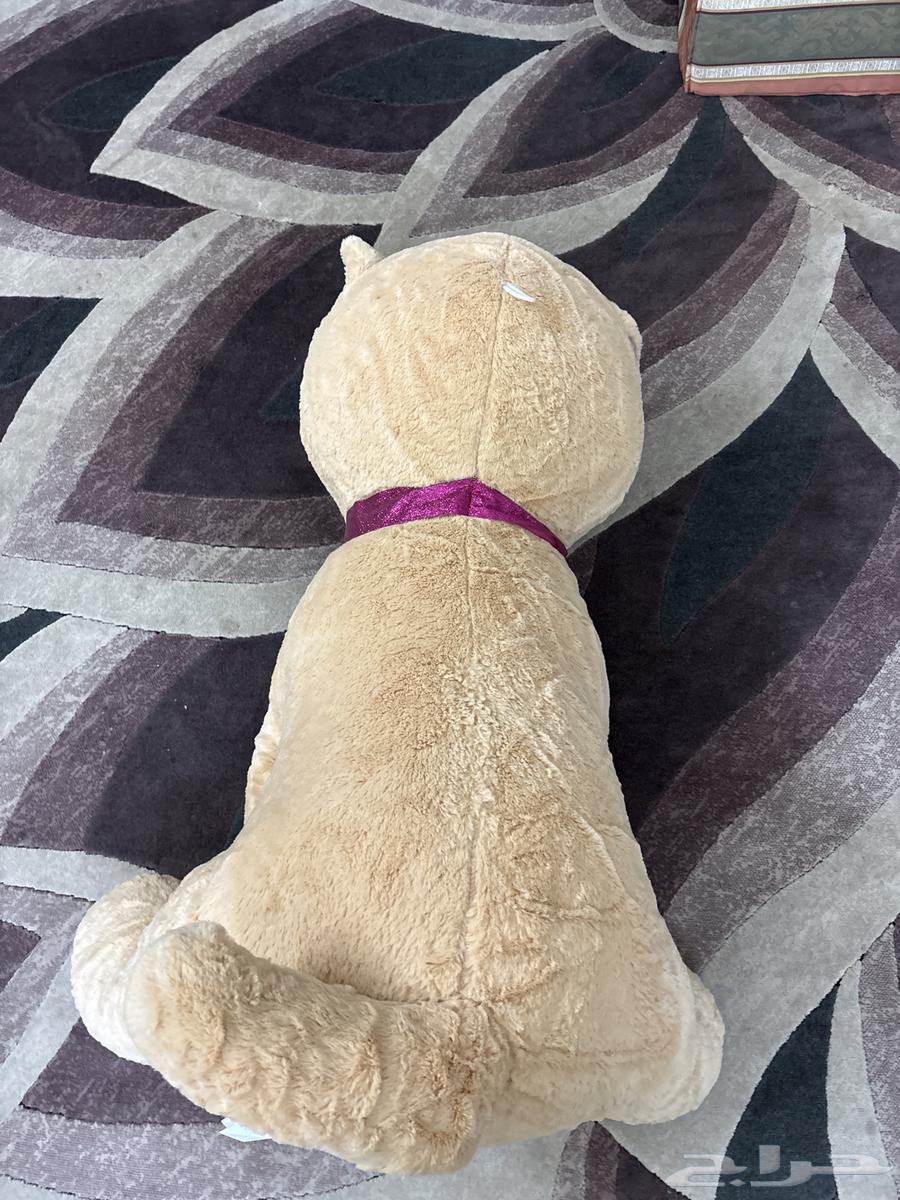 دبدبوب كبير للبيع64463944748803112