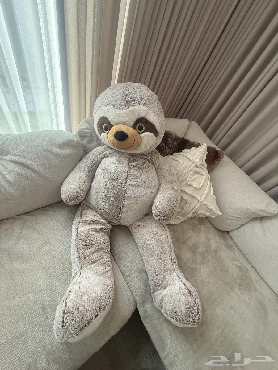 دبدوب كبير64461172634627110