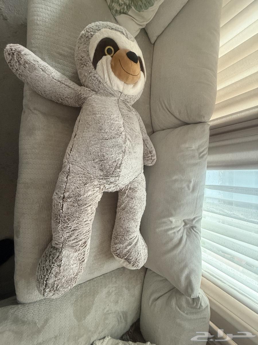 دبدوب كبير64461172634627111