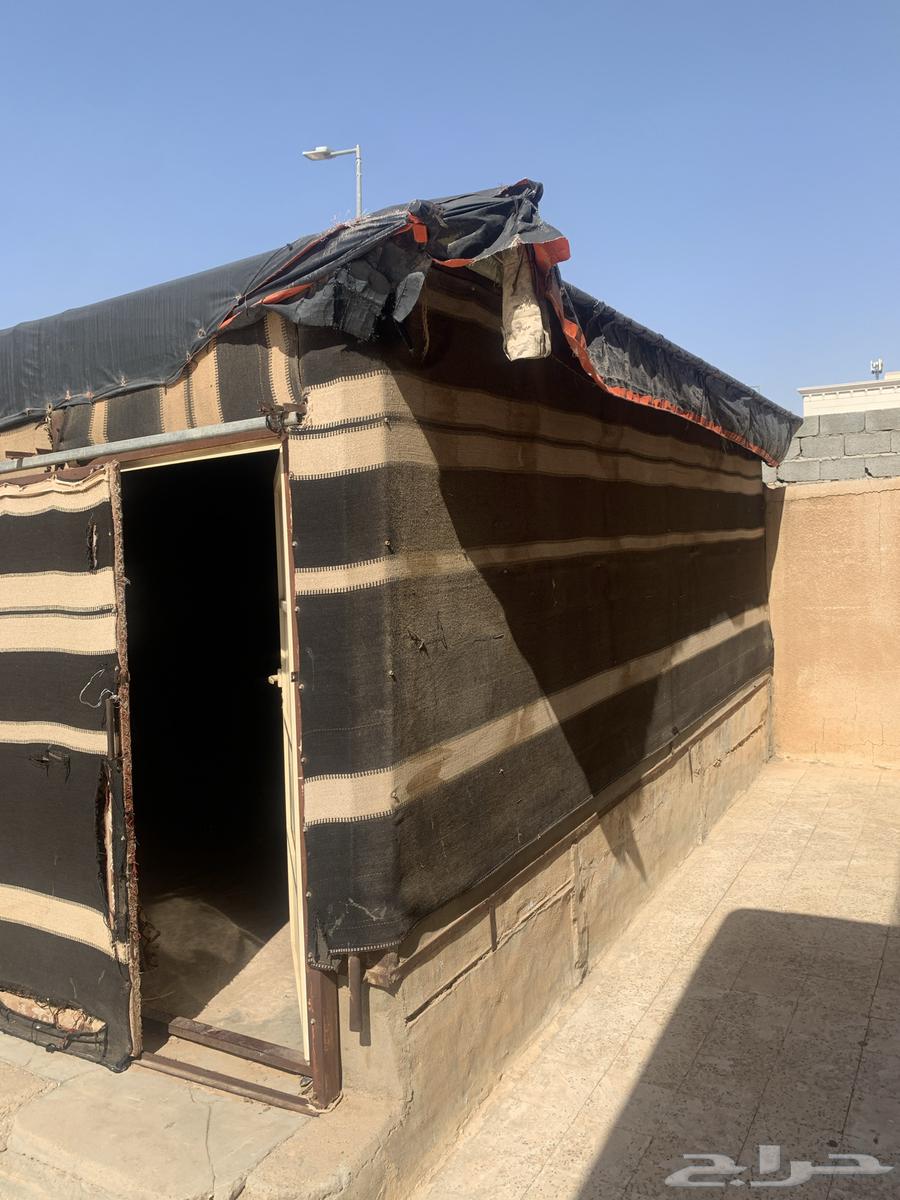 A tent, a bicycle, and scenery64460269914243112