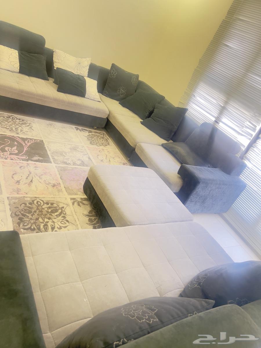 Sofa and carpet64459065172483112