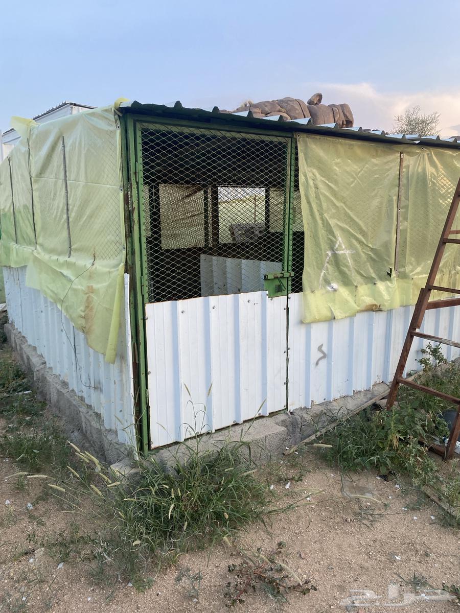 Container 10x464462212418817112