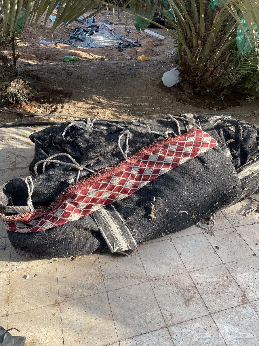 بيت شعر للبيع و مشب حديد64458525404546110