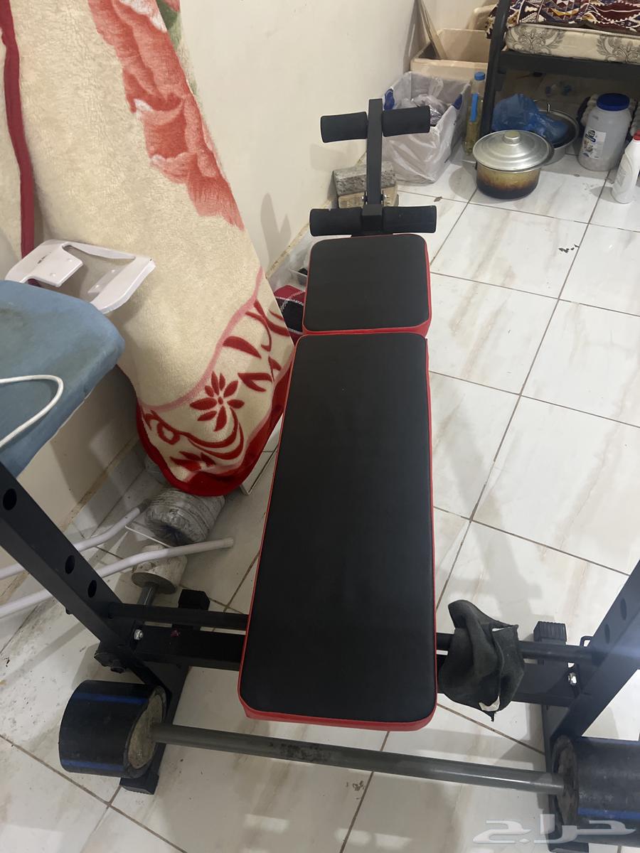 bench for exercise64457888940674110