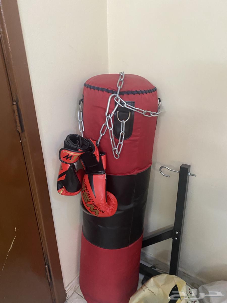 بوكسينق64460734758274110