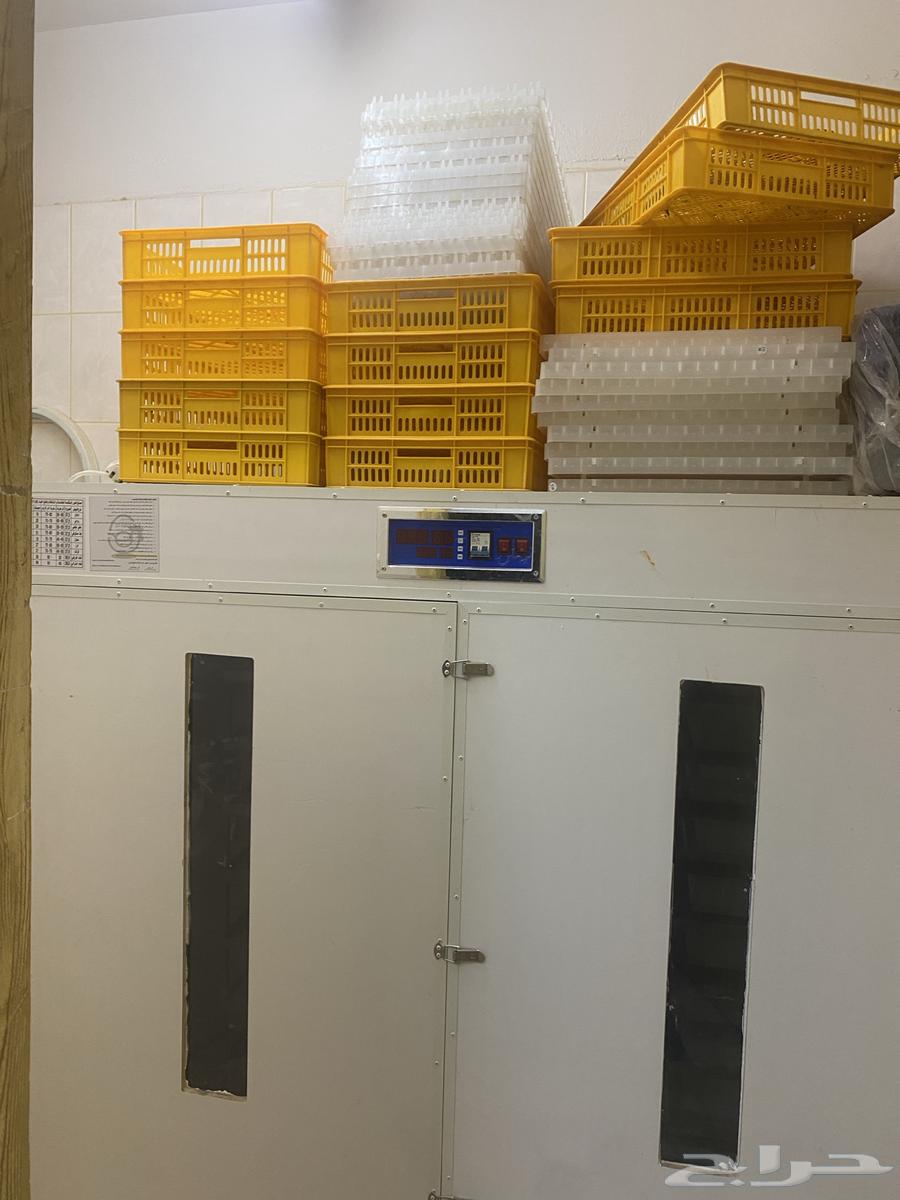 للبيع فقاست الحور المتقدمة ممتازه جدآ64462403524353110