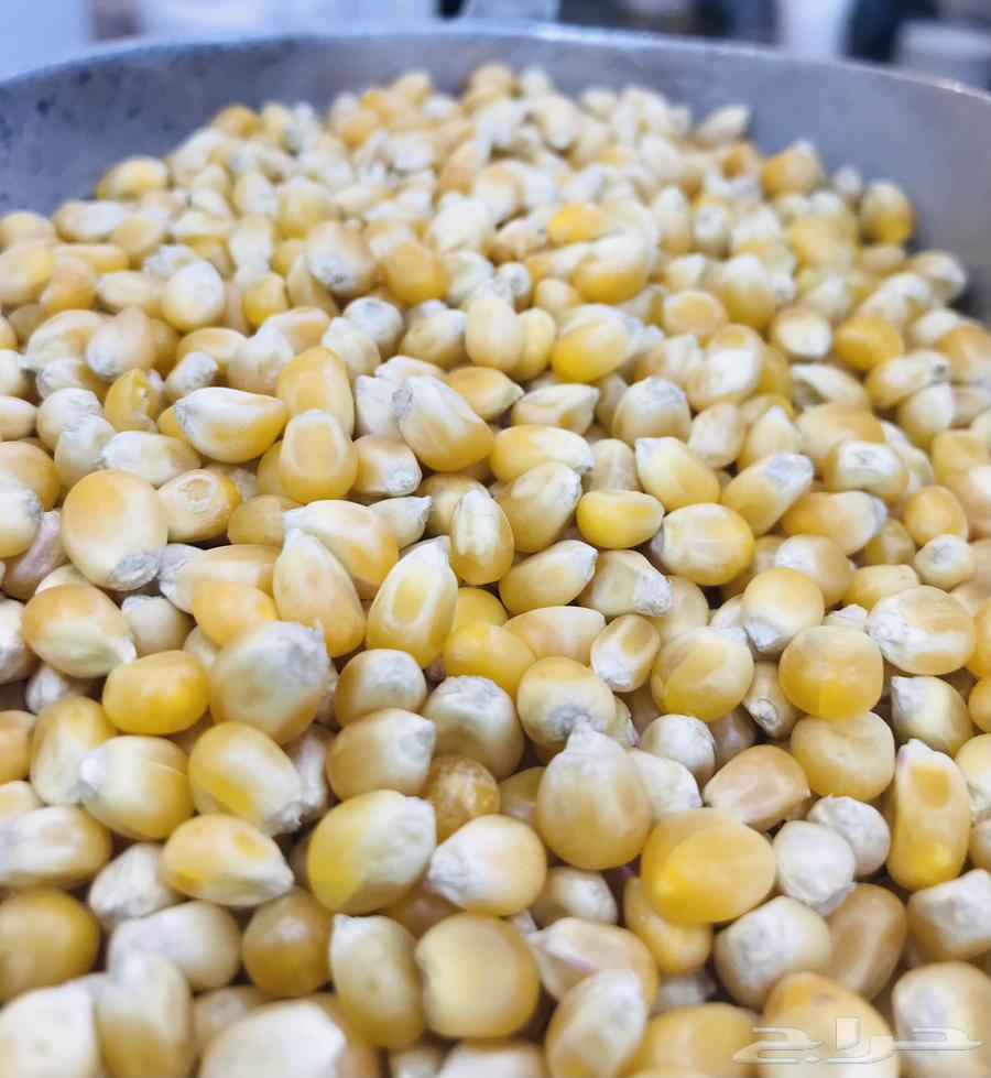 فشار برازيلي   نخب اول   نظيف وفاخر64463060961410112