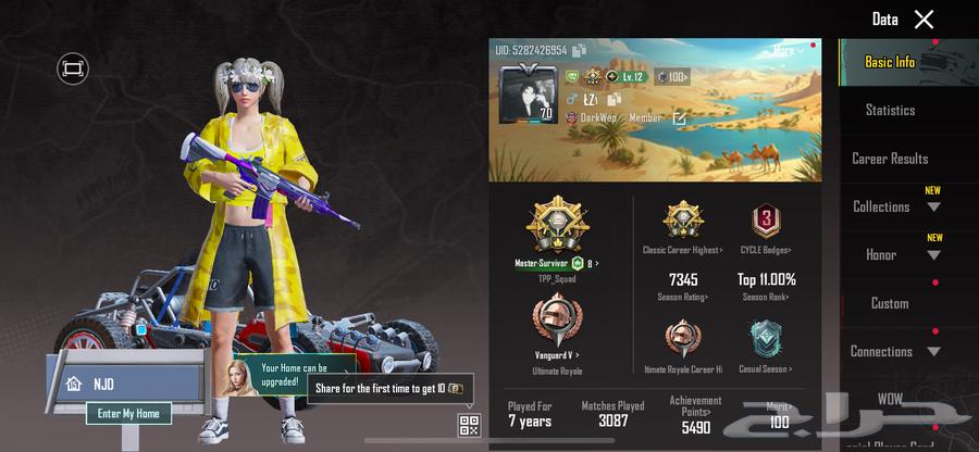 حساب ببجي للبيع64461856808962110