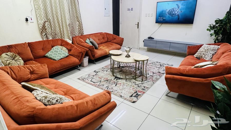 Sofa64461063097601113