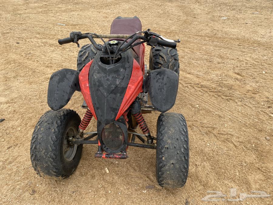 دباب تايواني الوصيط64633583013250113