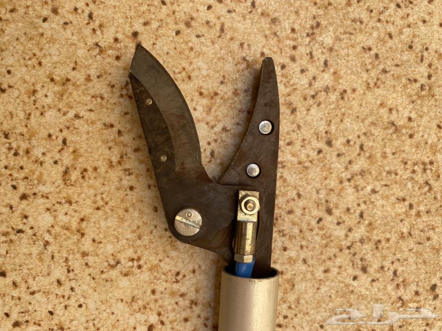 Tree Shears64458781032705114