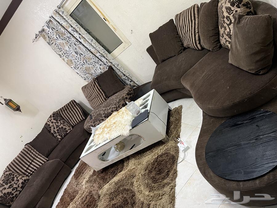 Council for the highest price64462117762305111