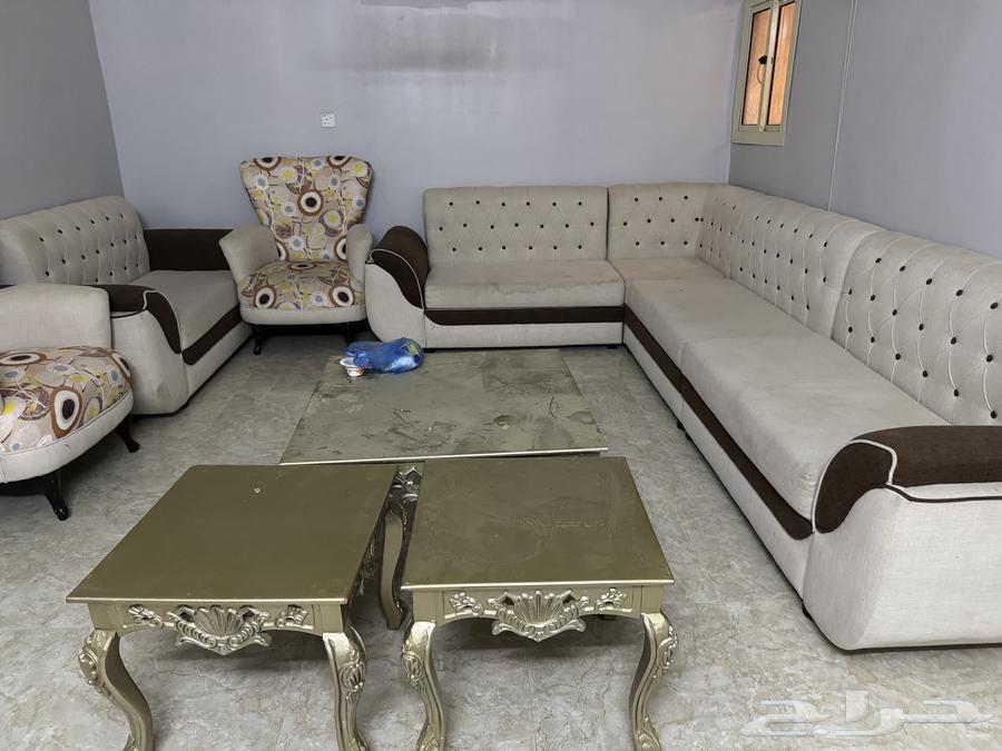 Sofa64460393188611111