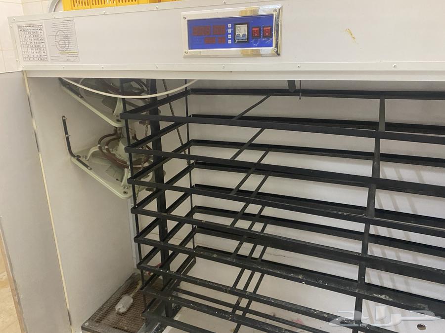 للبيع فقاست الحور المتقدمة ممتازه جدآ64462403524353112