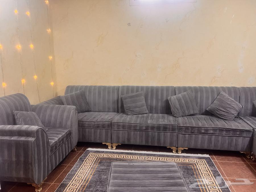 Clean sofa, no defects64461643360515111