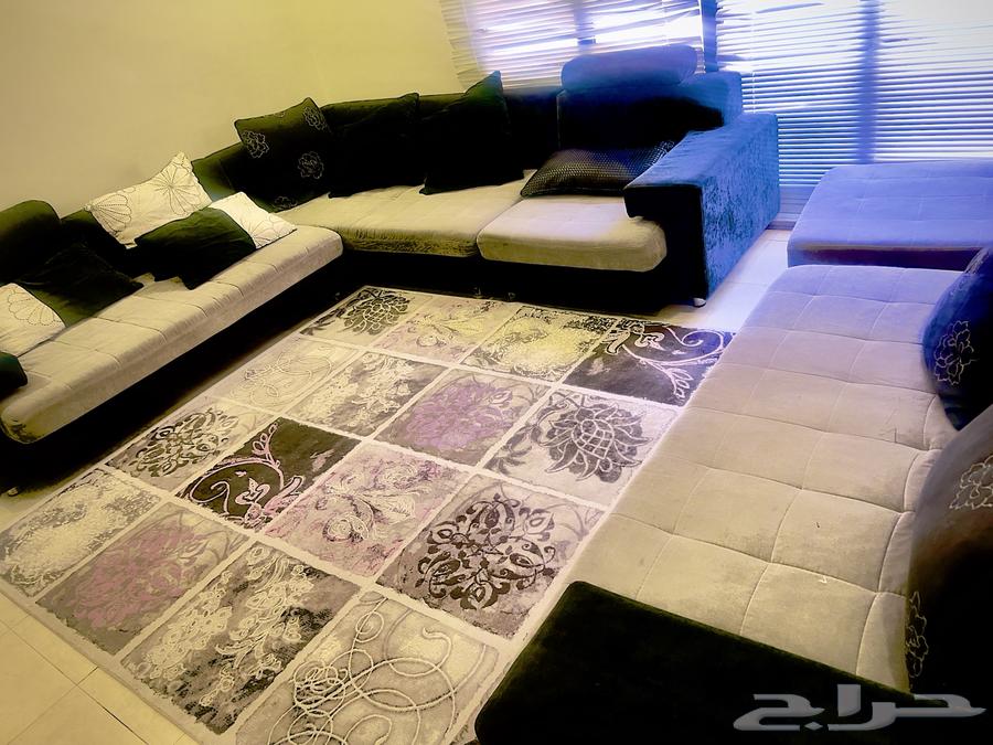 Sofa and carpet64459065172483114