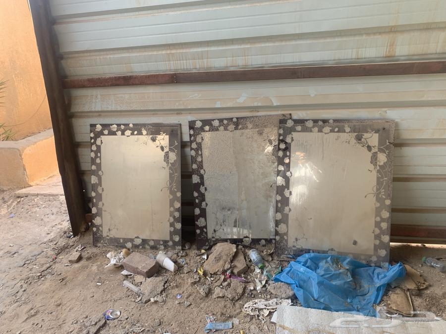 A tent, a bicycle, and scenery64460269914243110