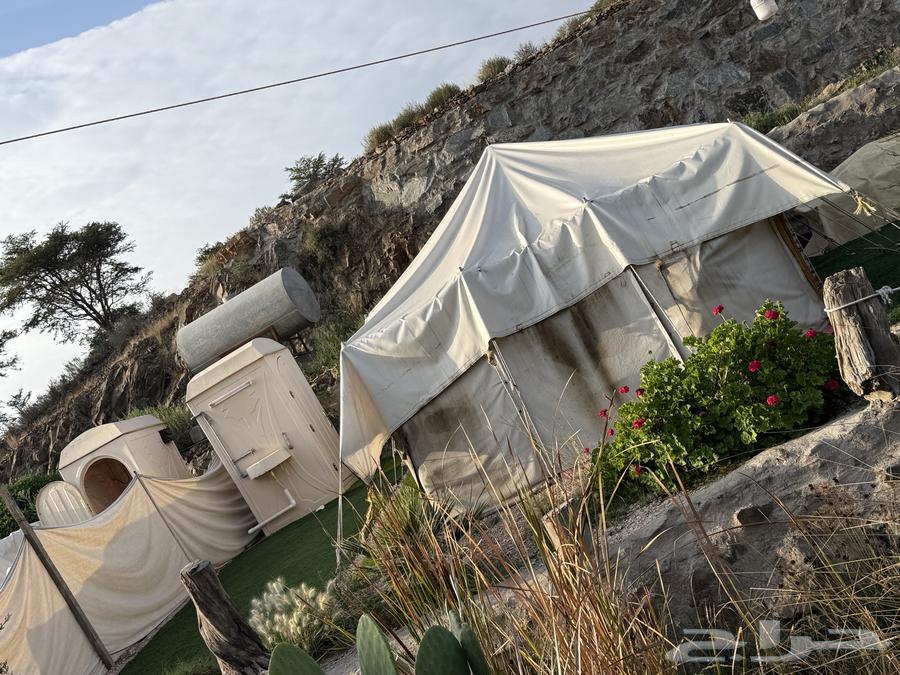 خيمتين مع دورتين مياه فايبر للبيع64459529325441111