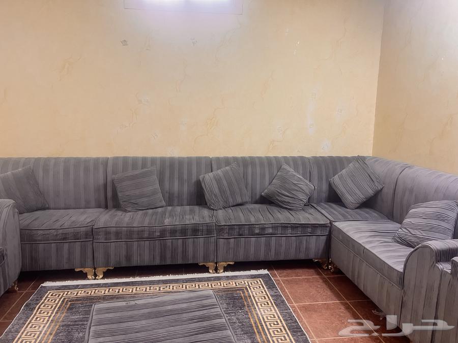 Clean sofa, no defects64461643360515110