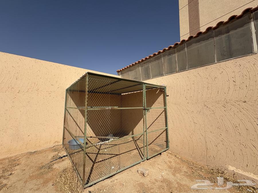 Shebek64460489609985110