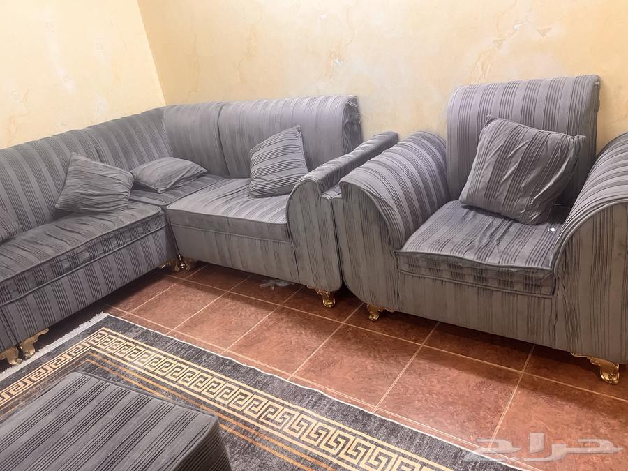 Clean sofa, no defects64461643360515112