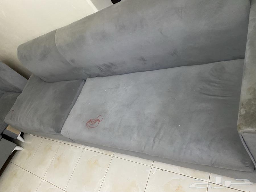 سبب البيع ضيق في المكان64457309578370110