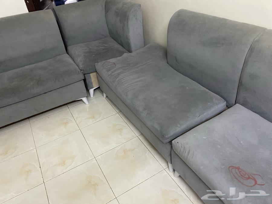 سبب البيع ضيق في المكان64457309578370111