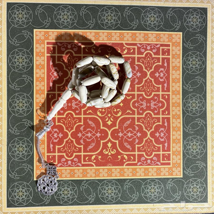 Swimming with Clayt64460064864769114