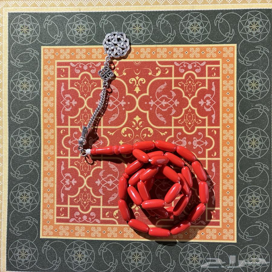 Swimming with Clayt64460064864769113