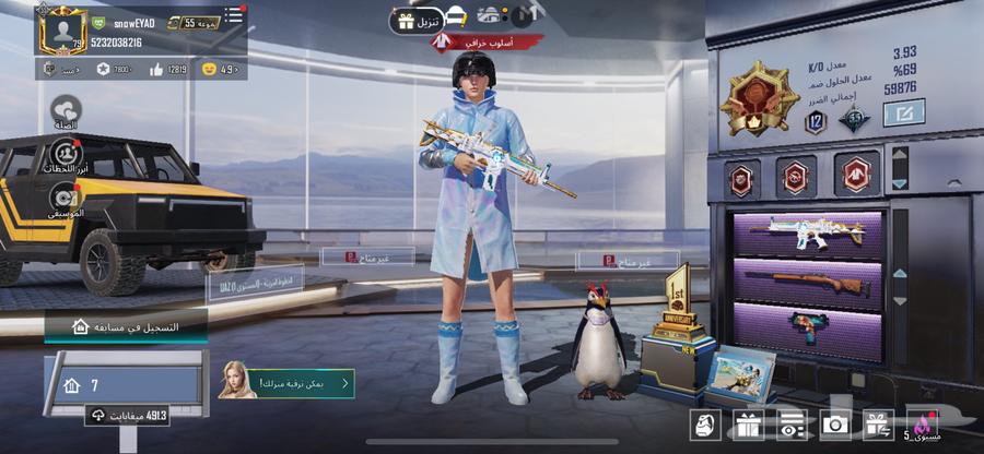 حساب ببجي للبيع64457837345155110