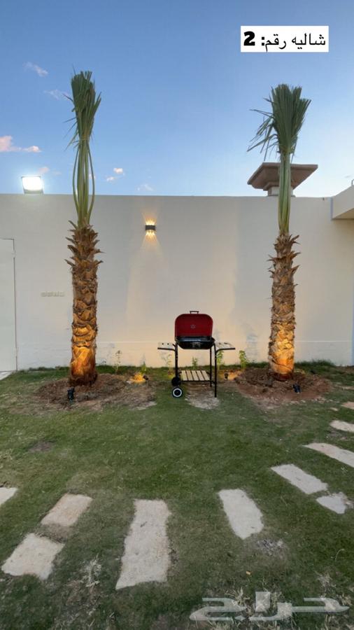 شاليهات حي الرمال ب550ريال وسط الاسبوع64458629376001114