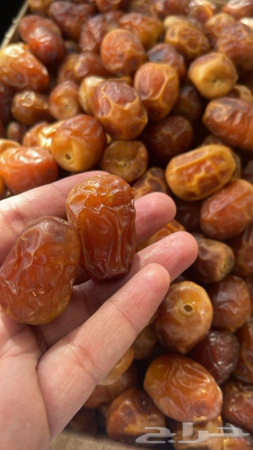 High-quality dates, first grade, Mafteele, Galaxy, and Sukkai64458795958401113