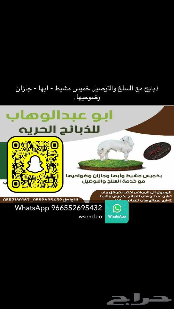 Slaughtered lambs from Shaweran sheep with skinning and delivery64459573350146111