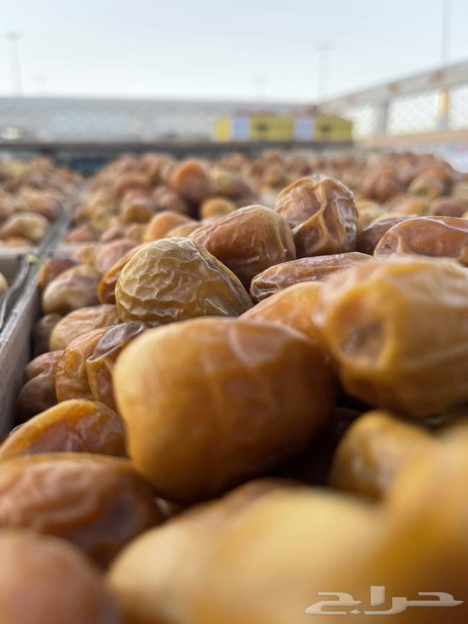 High-quality dates, first grade, Mafteele, Galaxy, and Sukkai64458795958401111