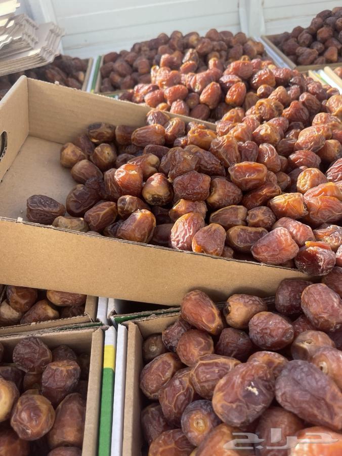 High-quality dates, first grade, Mafteele, Galaxy, and Sukkai64458795958401112