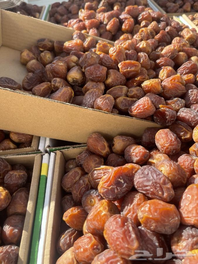 High-quality dates, first grade, Mafteele, Galaxy, and Sukkai64458795958401114