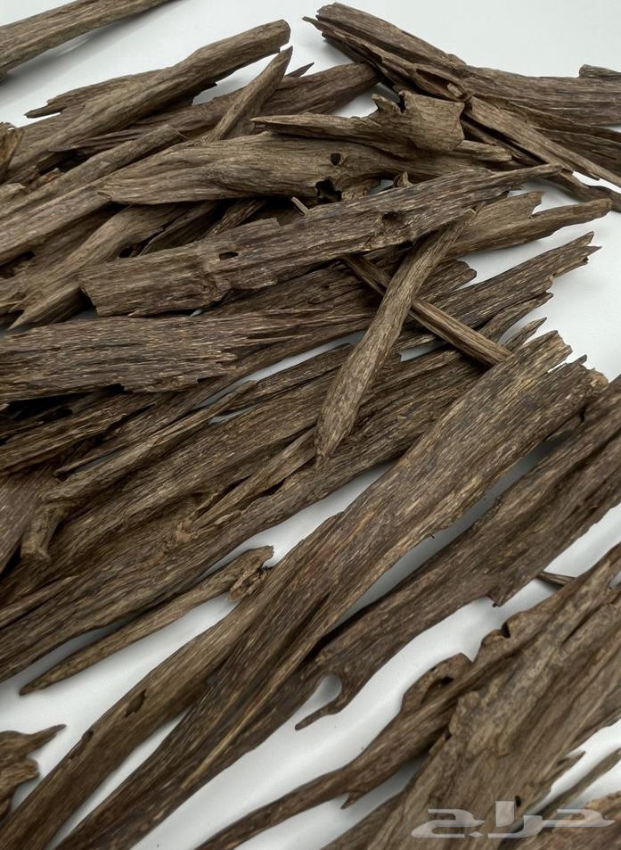 دهن عود من غابات آسام64410188137729113