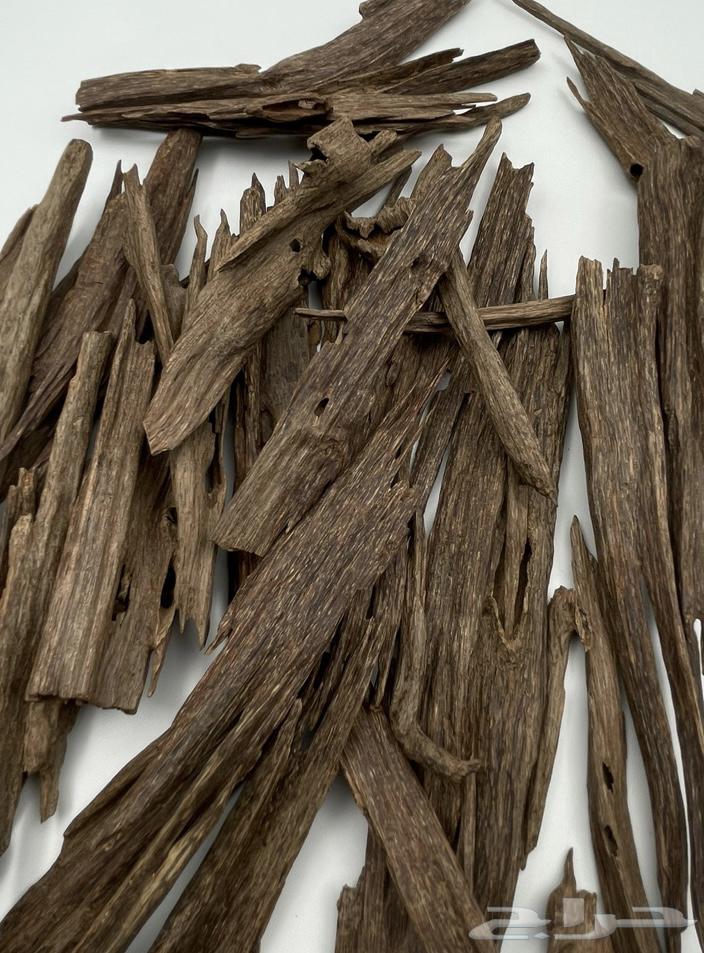 دهن عود من غابات آسام64410188137729112