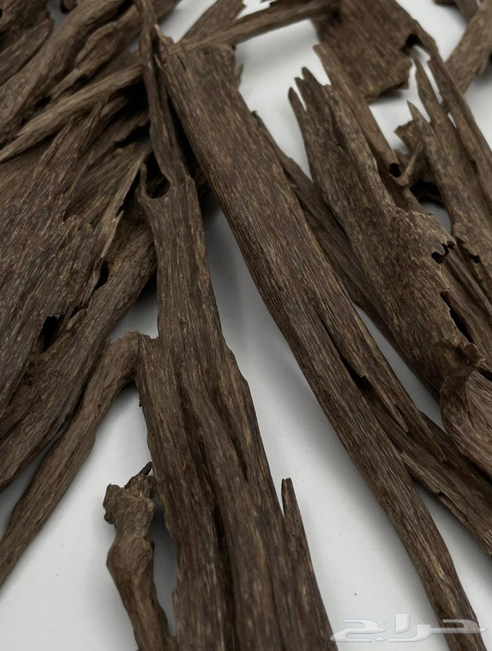دهن عود من غابات آسام64410188137729114