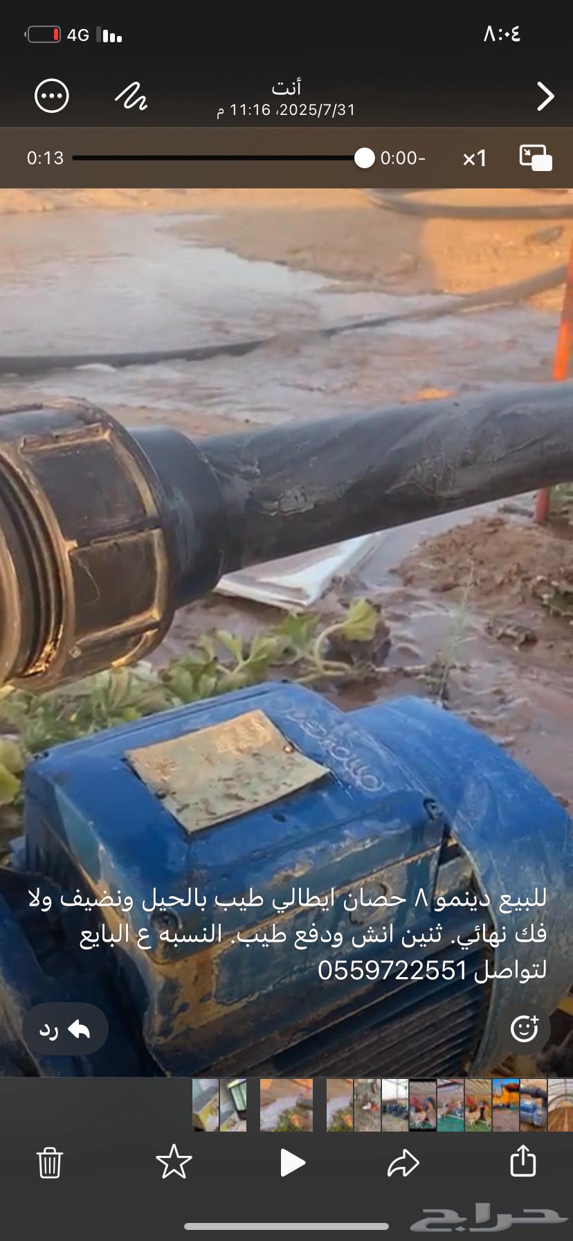 دينمو ايطالي 8حصان64462896335489112