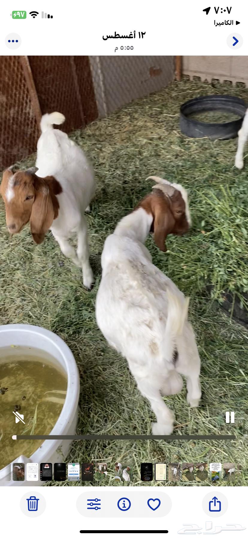 Tios Bourgeit64462403490946112